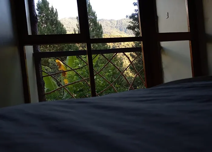 Séjour à la campagne Inca Coffee Lucmabamba *